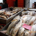 墨西哥市海鮮蔬果批發市場 - 2