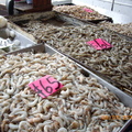墨西哥市海鮮蔬果批發市場 - 3