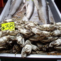 墨西哥市海鮮蔬果批發市場 - 8