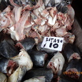 墨西哥市海鮮蔬果批發市場 - 18