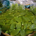 墨西哥市海鮮蔬果批發市場 - 14