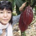 costa rica adventure - beautiful cacao