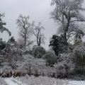 photo - 故鄉冬季的雪景