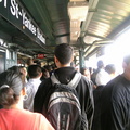 到了洋基球場地鐵站，人潮都是洋基迷