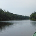 亞瑪遜河