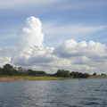 亞瑪遜河的午後
