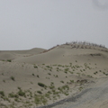 塔克拉瑪干沙漠