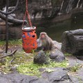 動物園 - 5