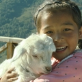 賈登峪往禾木途中哈薩克小女孩與小羊