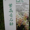 礁溪蘭花園 - 13