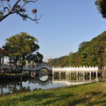 美麗的碧湖公園 - 16