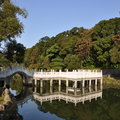 美麗的碧湖公園 - 19