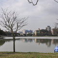 碧湖公園