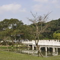 碧湖公園