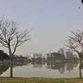 碧湖公園拾掇 - 5