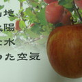 過年應景”日本進口蘋果”日本進口蘋果