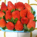 特别甜的韩国草莓