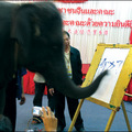 一隻小象在用鼻子寫漢字你好