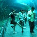 第二天 - 海生館海洋隧道