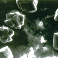 1. 未經處理的混凝土：在表層以下50mm處切取的混凝土試樣。可以看到在切面照片上呈現的氫氧化鈣立方體和菱形六面體的膠體及微粒。