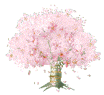 粉紅樹