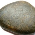 神龜紋原石