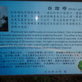 2009員工旅遊小琉球