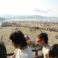 2008 貢寮海洋音樂祭 - 1