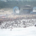 2008 貢寮海洋音樂祭 - 4