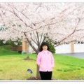 2008年初春攝於門口的櫻花樹下。