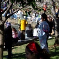 這女人穿這和服賞櫻，
走起路來真是婀娜多姿。