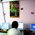 尼斯1：牆上有日本畫與蝴蝶的網咖(2008/0518)