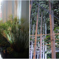 台中[白色森林公園]3：餐廳外的白綠風情(左)，園內的建「竹」雄偉(右)