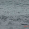 颱風來臨前的海浪，真的粉壯觀喔！