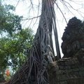 柬埔寨-吳哥窟之旅(三) - 4