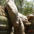 柬埔寨-吳哥窟之旅(三) - 1