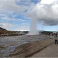Geysir 間歇噴泉區，地熱噴泉到處可見。