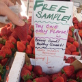 9月27日聖河西農夫市場-FREE的大顆草莓試吃