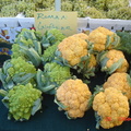 9月27日聖河西農夫市場-特別的花耶菜