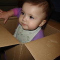 hana in the box
