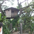 樹上的小屋是一間小旅館，里面有客廳和睡房