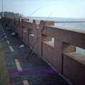 鹽水溪出海口的大橋 眺望台灣海峽
橋上擺滿了釣竿 釣的魚最大約15cm