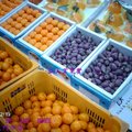 東門市場 水果