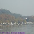 杭州西湖 美景天成