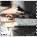 三奇蜜蜂生態農場--20