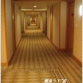 台中日華金典酒店--8