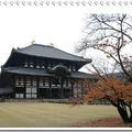 奈良公園 & 東大寺
