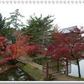 奈良公園 & 東大寺