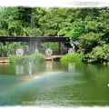 2010.10 繽紛沖繩四日遊 - 東南植物園
