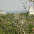TIKAL馬雅金字塔淹沒在叢林中，僅有幾座突出樹冠‧